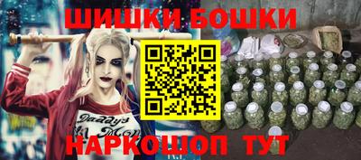 МДПВ Можга