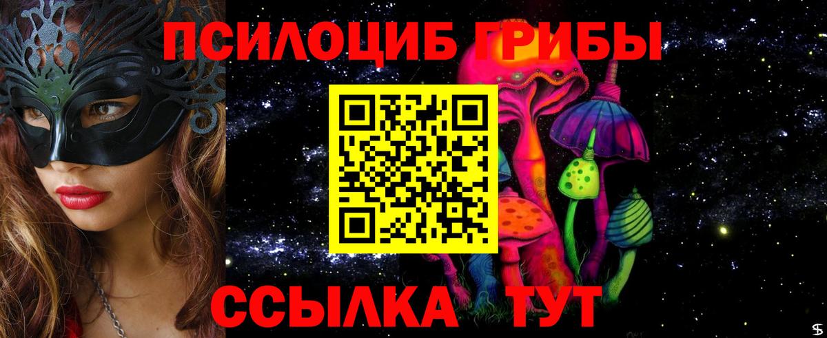 Вязьма  дарнет шоп  Вход с VPN  Псилоцибиновые грибы мицелий 